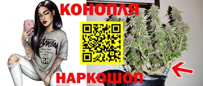 гашик Бузулук