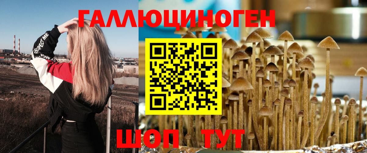 Галлюциногенные грибы Magic Shrooms  Вход с VPN  Ликино-Дулёво  Псилоцибиновые грибы GOLDEN TEACHER 